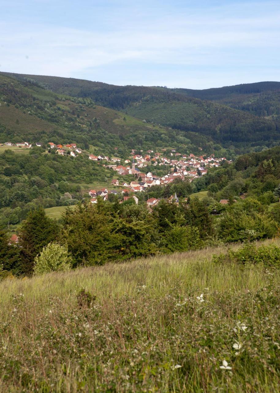 Hotel Restaurant Auberge Metzger Natzwiller Exteriör bild